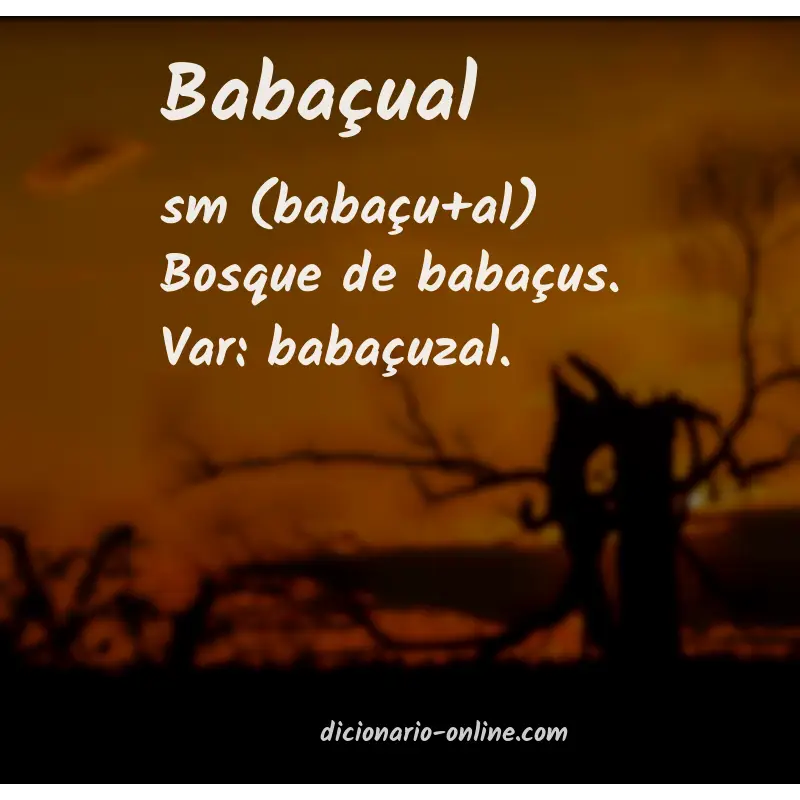 Significado de babaçual