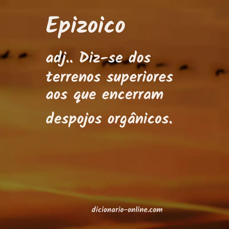 Significado de epizoico