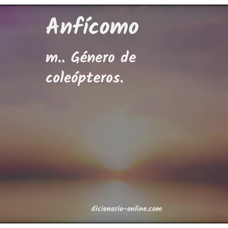 Significado de anfícomo