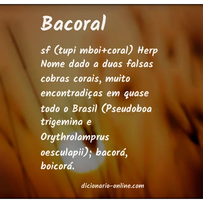 Significado de bacoral