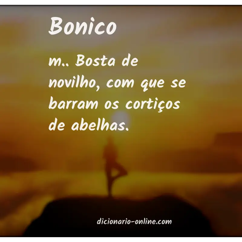 Significado de bonico