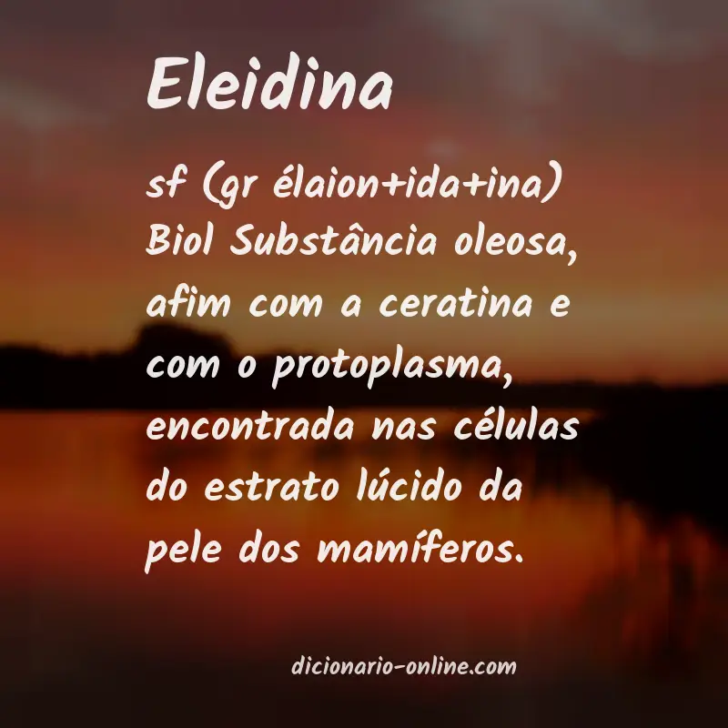 Significado de eleidina