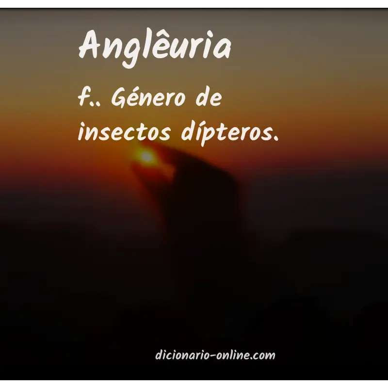 Significado de anglêuria