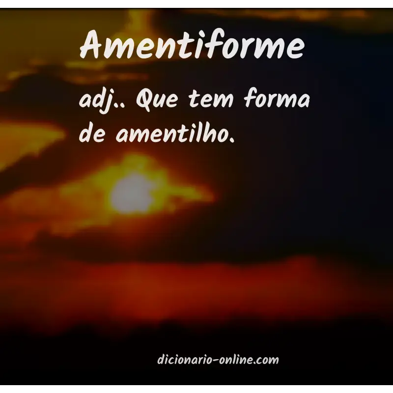 Significado de amentiforme