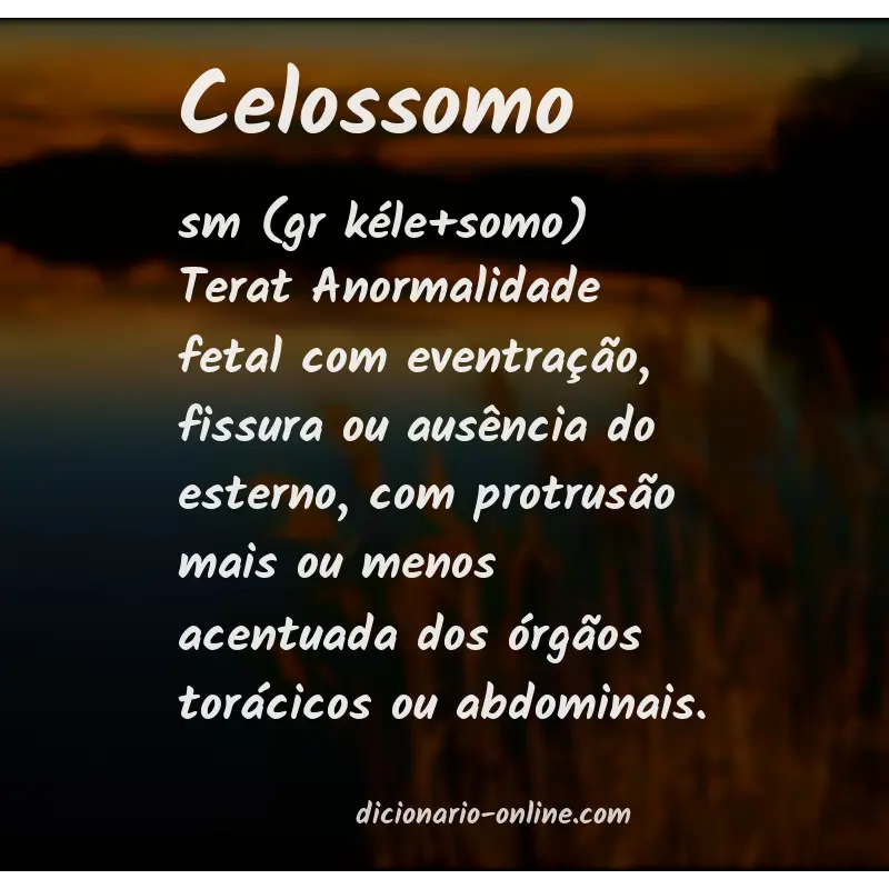 Significado de celossomo