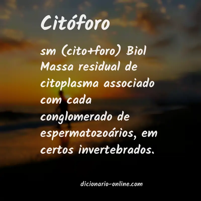 Significado de citóforo
