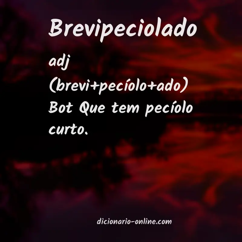 Significado de brevipeciolado