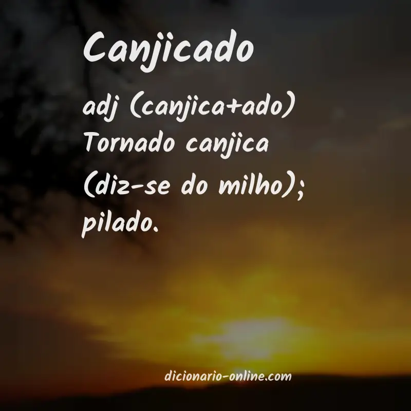 Significado de canjicado