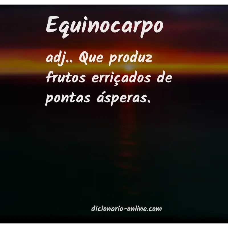 Significado de equinocarpo