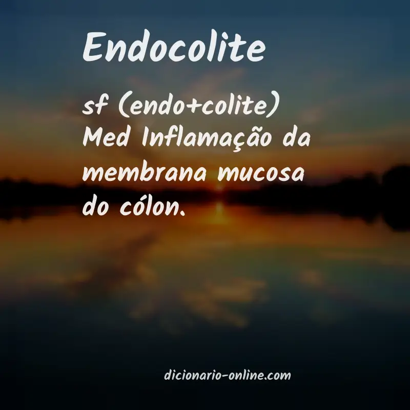 Significado de endocolite