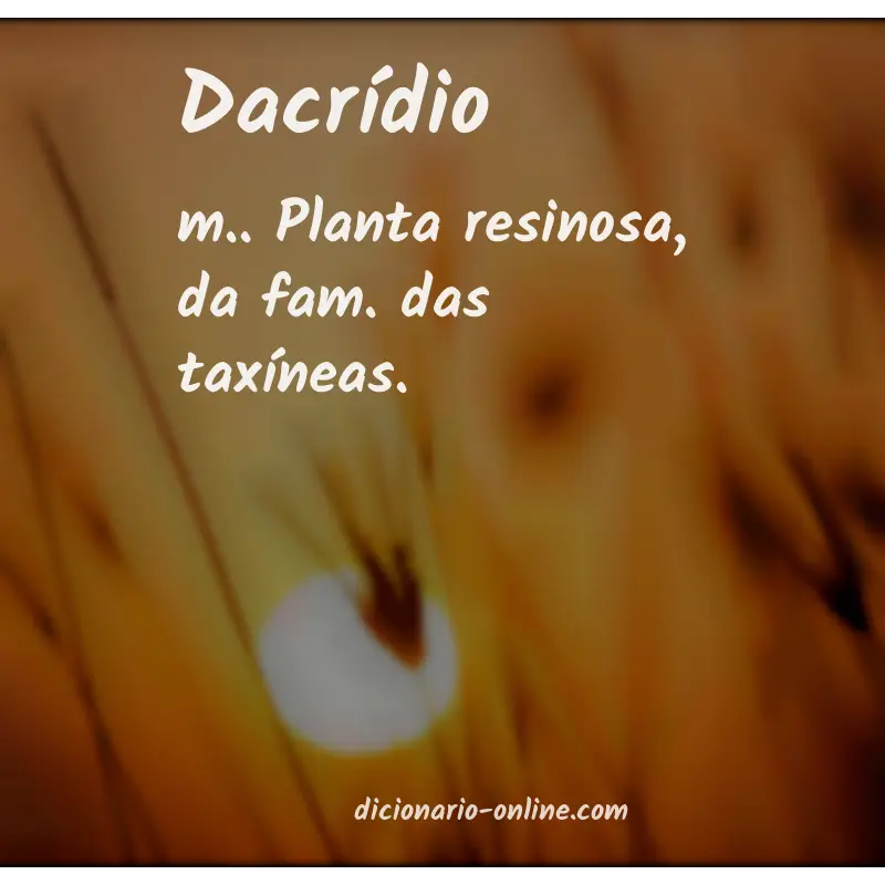 Significado de dacrídio