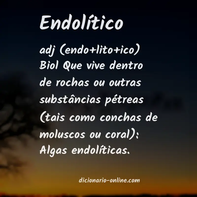 Significado de endolítico