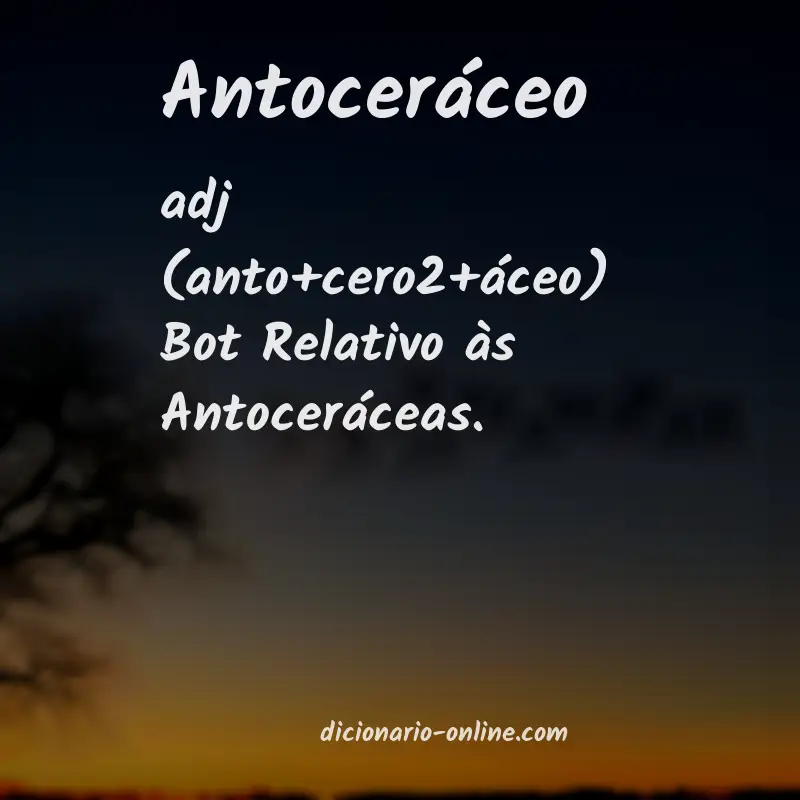 Significado de antoceráceo