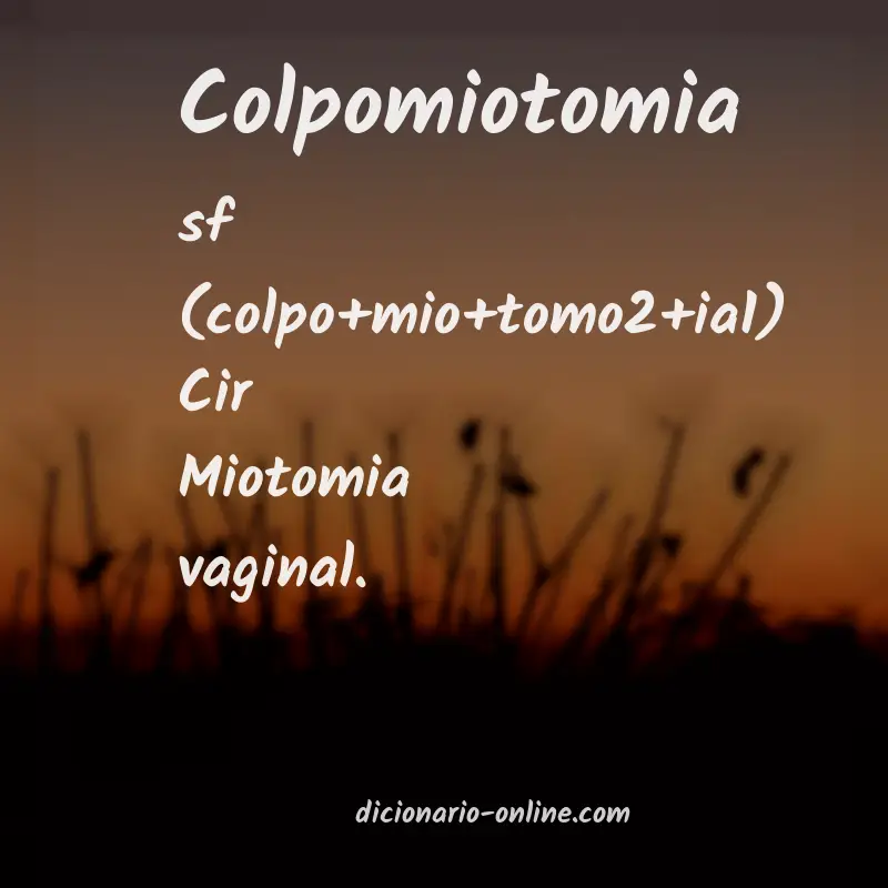 Significado de colpomiotomia