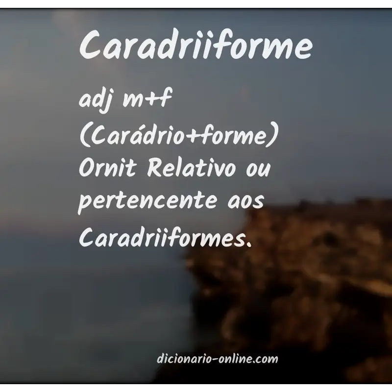 Significado de caradriiforme