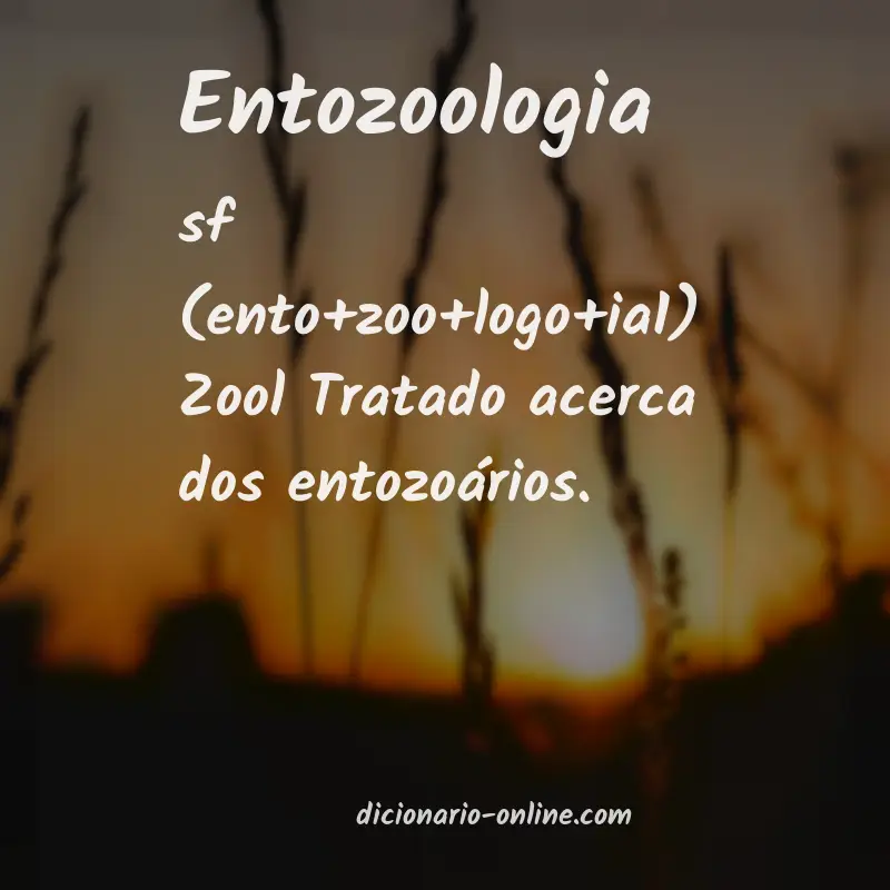Significado de entozoologia
