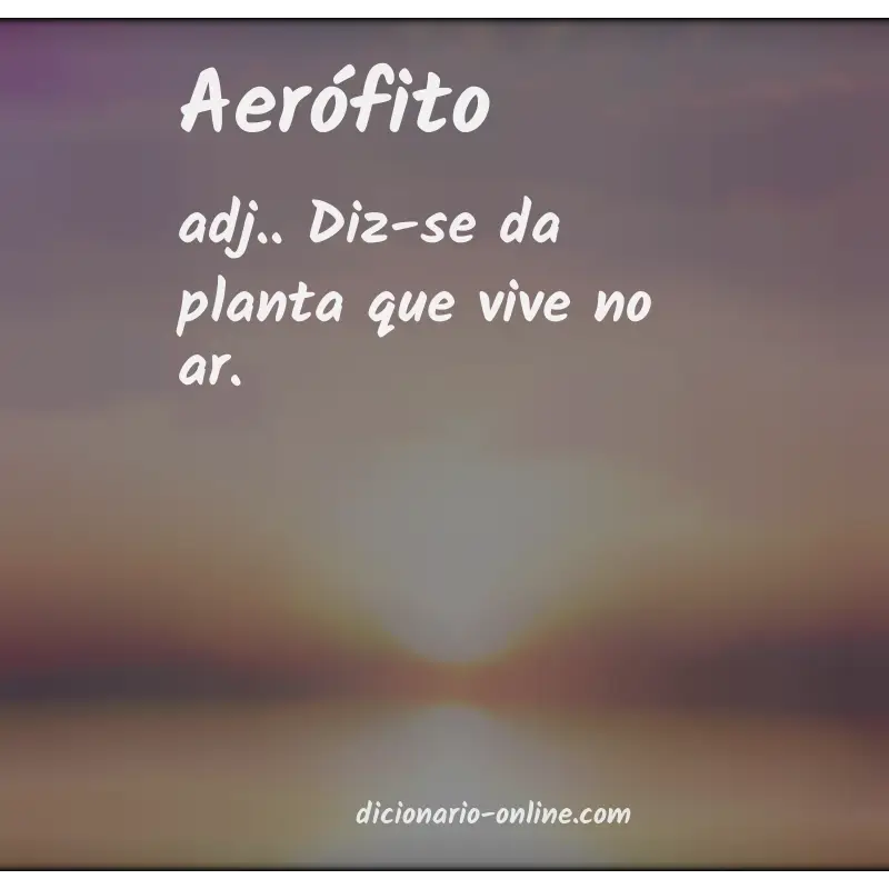 Significado de aerófito