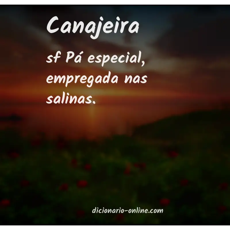 Significado de canajeira