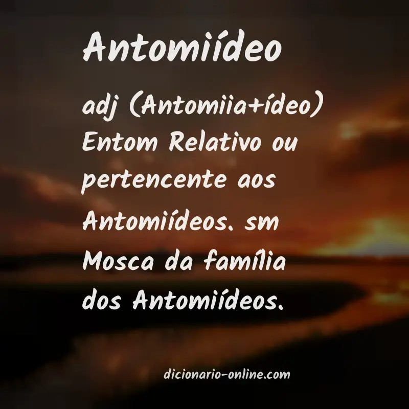 Significado de antomiídeo