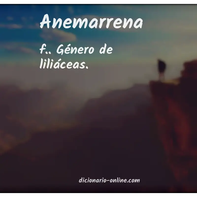 Significado de anemarrena