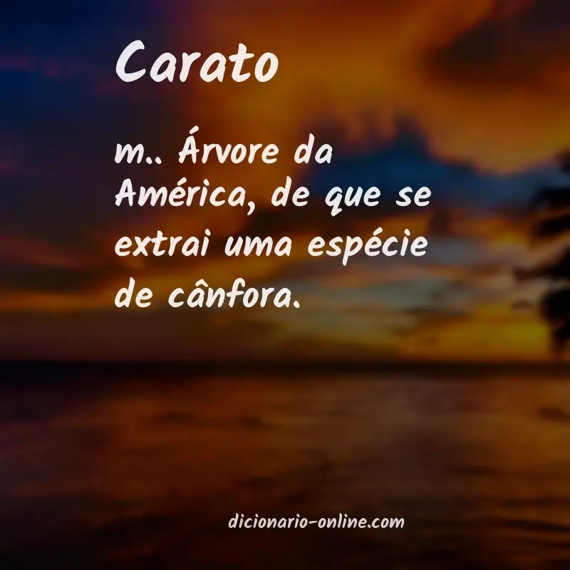 Significado de carato