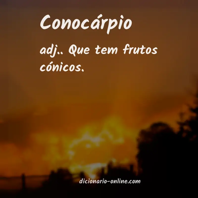 Significado de conocárpio