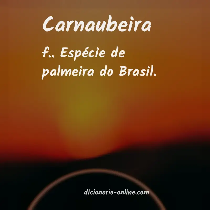 Significado de carnaubeira