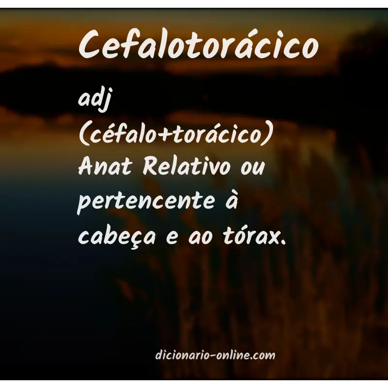Significado de cefalotorácico