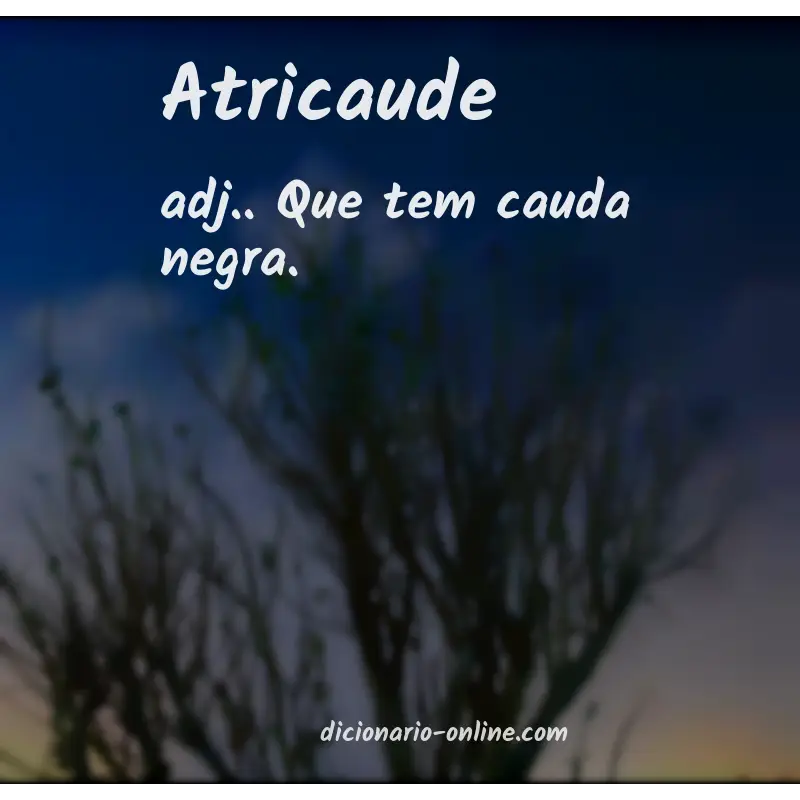 Significado de atricaude