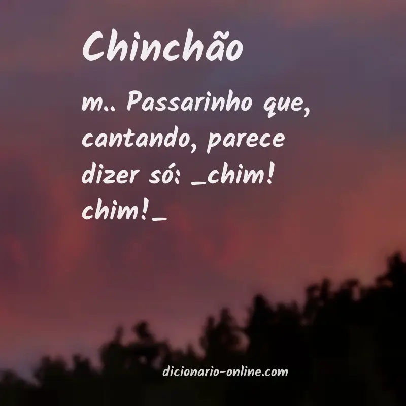 Significado de chinchão