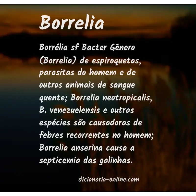 Significado de borrelia