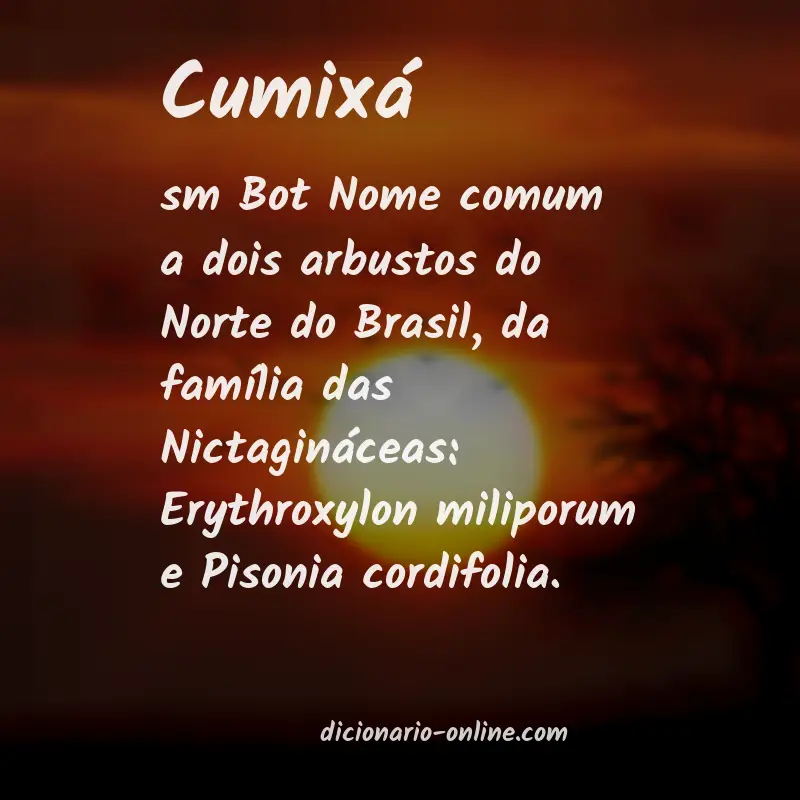 Significado de cumixá