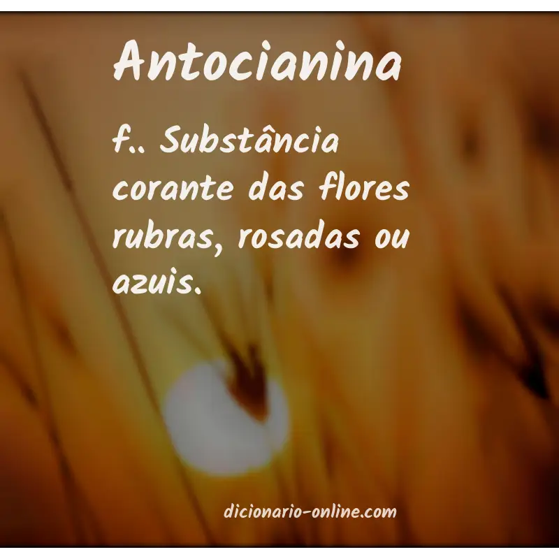 Significado de antocianina