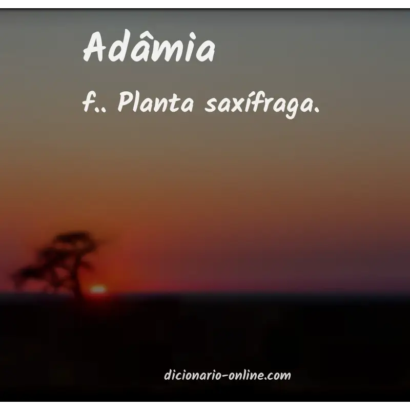 Significado de adâmia