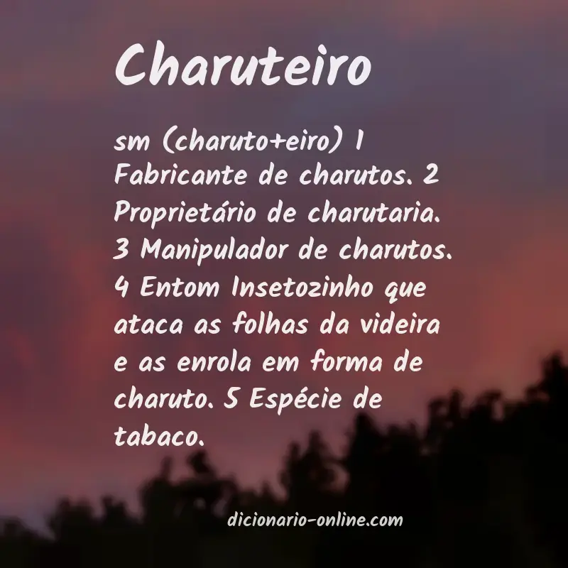 Significado de charuteiro
