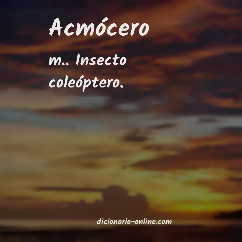 Significado de acmócero