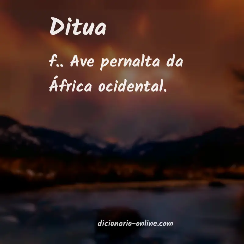 Significado de ditua