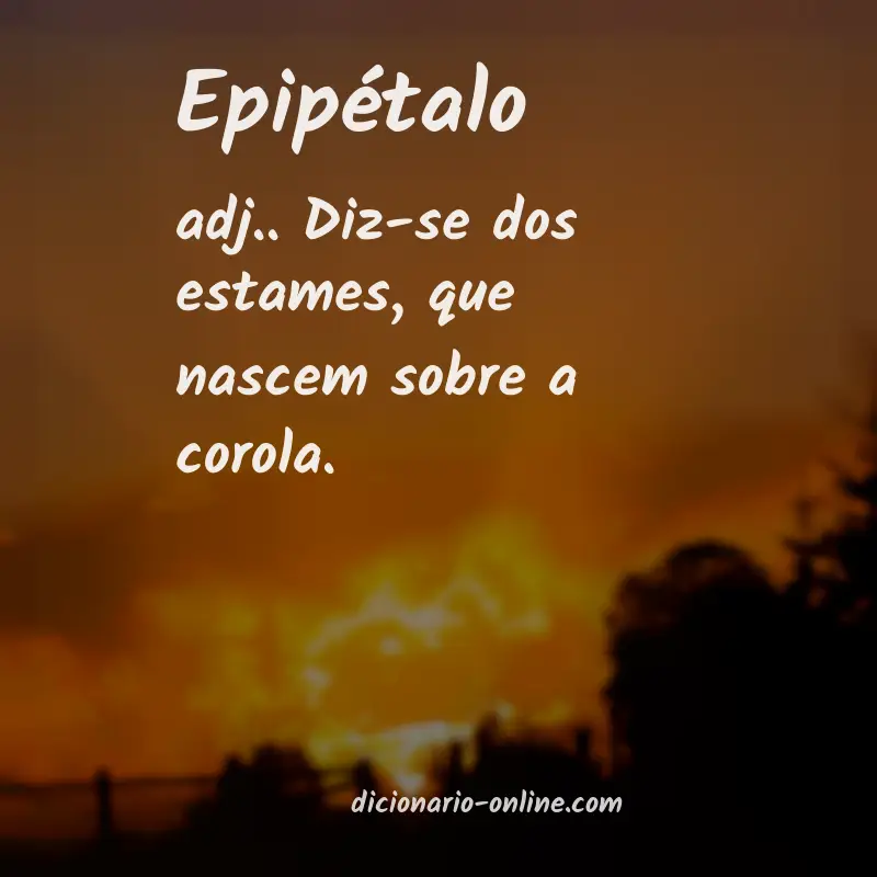 Significado de epipétalo