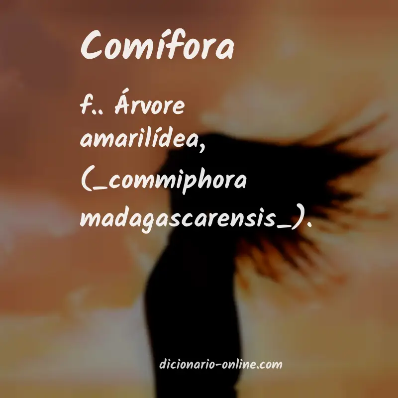 Significado de comífora
