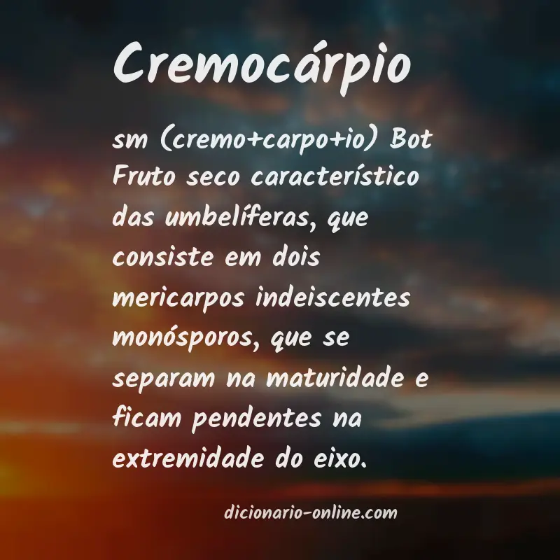 Significado de cremocárpio