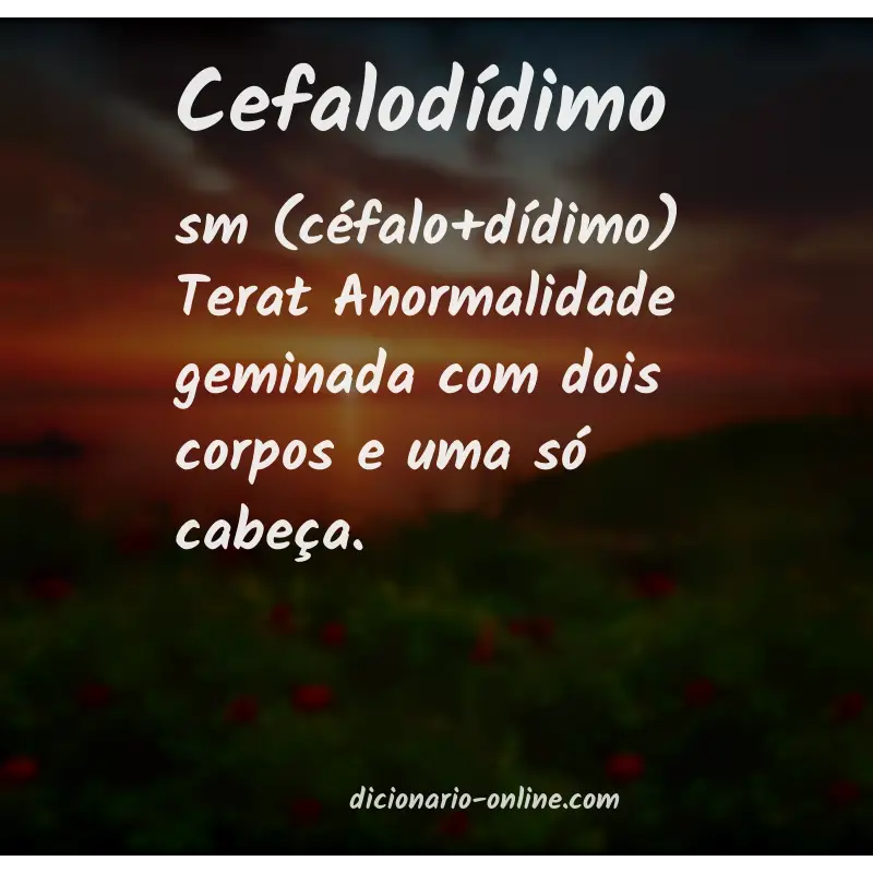 Significado de cefalodídimo