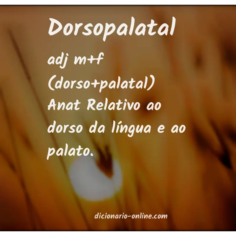 Significado de dorsopalatal