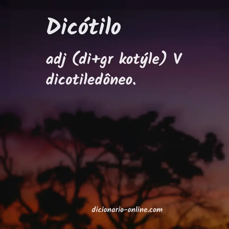 Significado de dicótilo