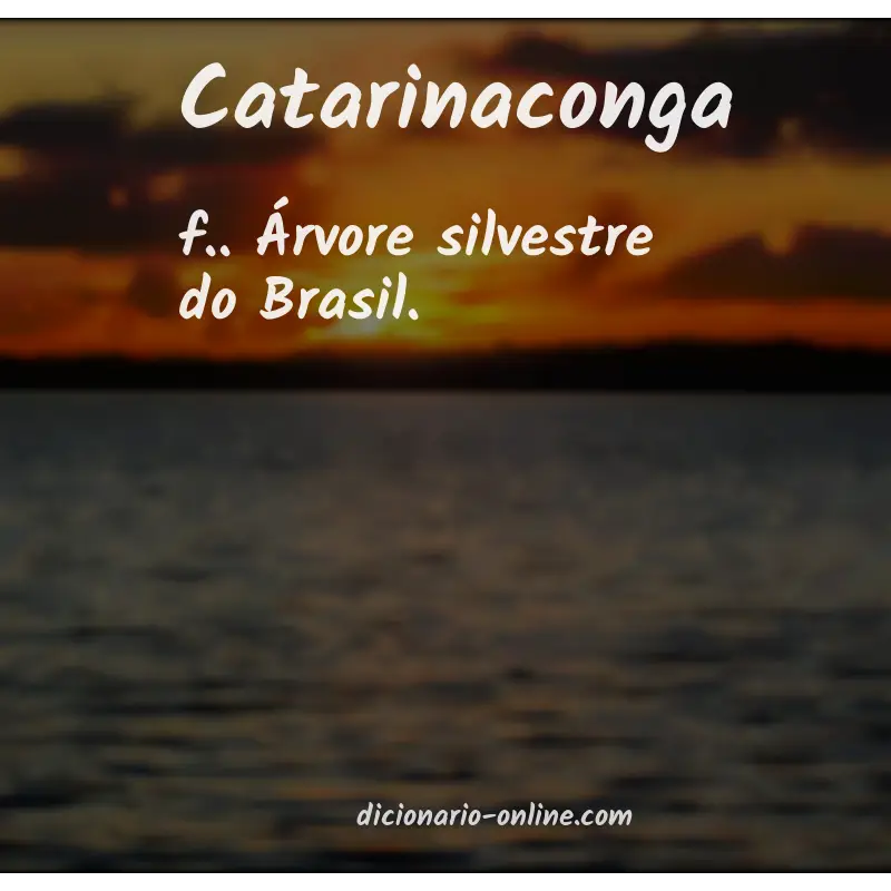 Significado de catarinaconga