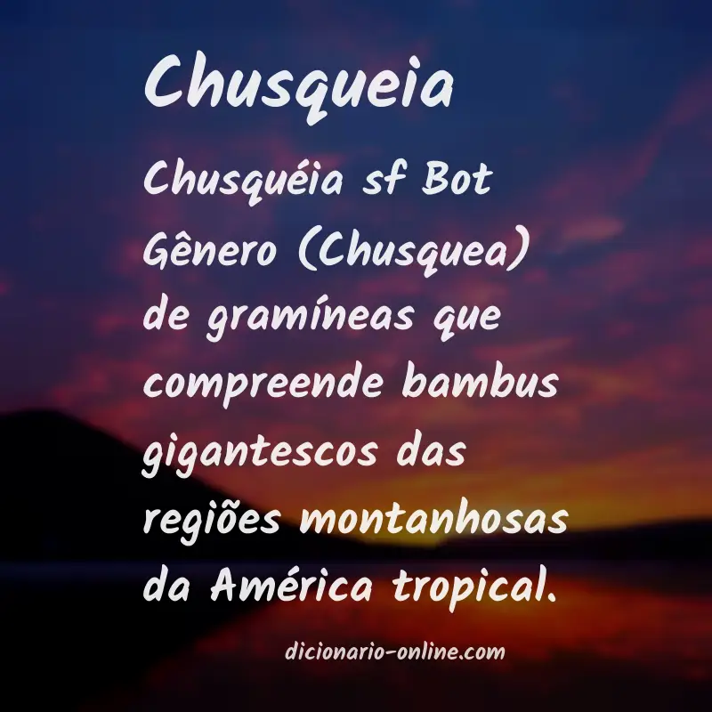 Significado de chusqueia