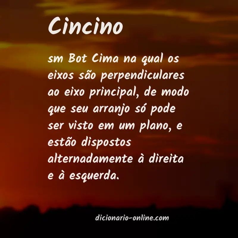 Significado de cincino