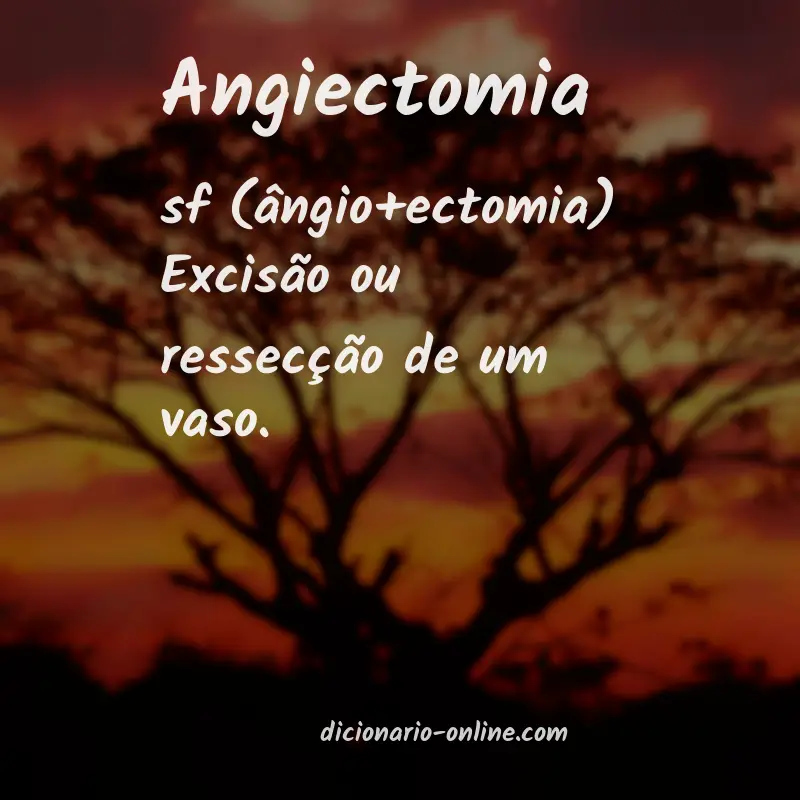 Significado de angiectomia