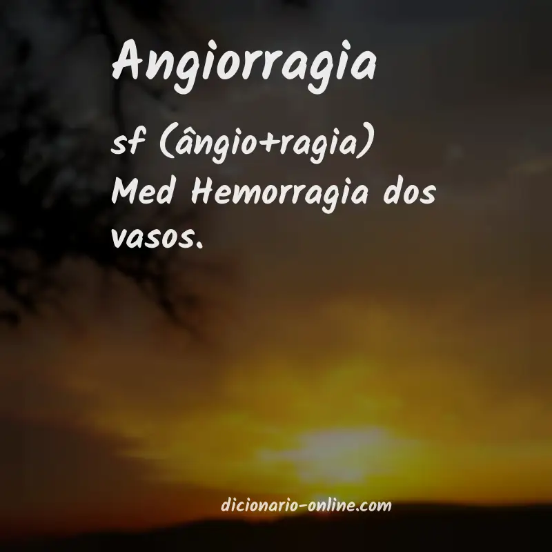 Significado de angiorragia