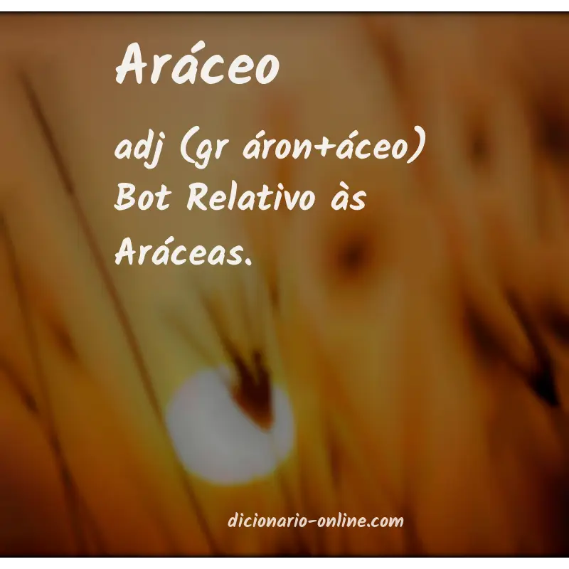 Significado de aráceo