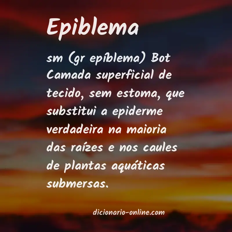 Significado de epiblema